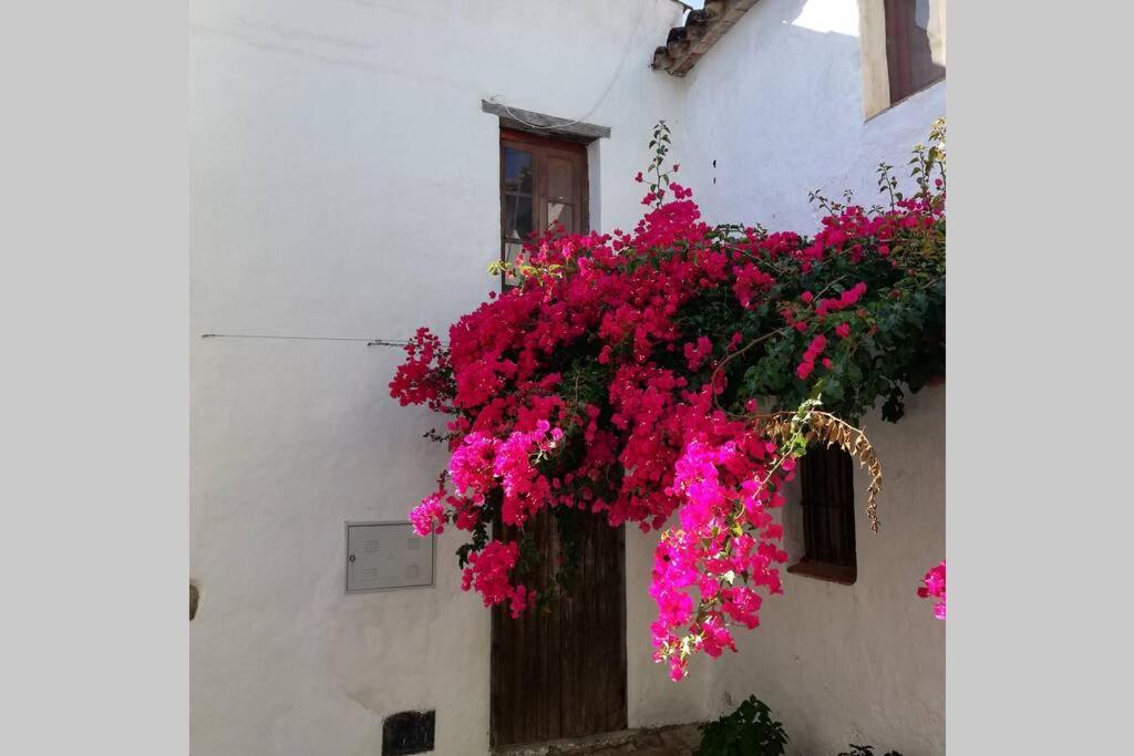 Casa En Fortaleza Medieval Castellar de la Frontera Εξωτερικό φωτογραφία
